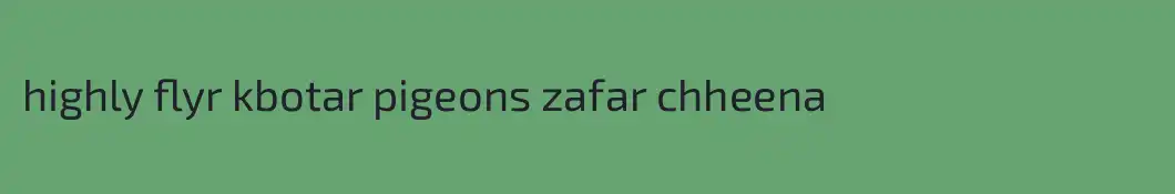 highly flyr kbotar pigeons zafar chheena
